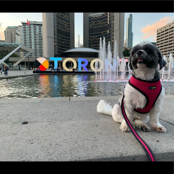 Meet your Posher, Tanya - Picture 1 of 1